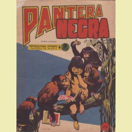 PANTERA NEGRA REVISTA Nº 29