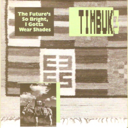 SINGLE TIMBUK 3 THE FUTURE'S SO BRIGHT I GOTTA 