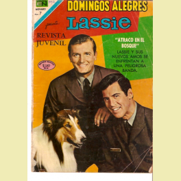 DOMINGOS ALEGRES Nº 894