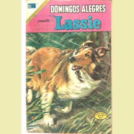 DOMINGOS ALEGRES Nº1026